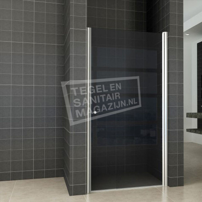 Nisdeur Wiesbaden met profiel Rookglas 100x202cm 8mm Nano coating