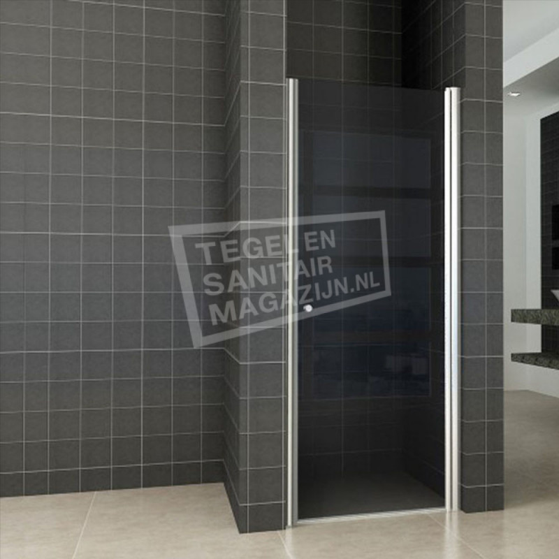 Nisdeur Wiesbaden met profiel Rookglas 80x202cm 8mm Nano coating